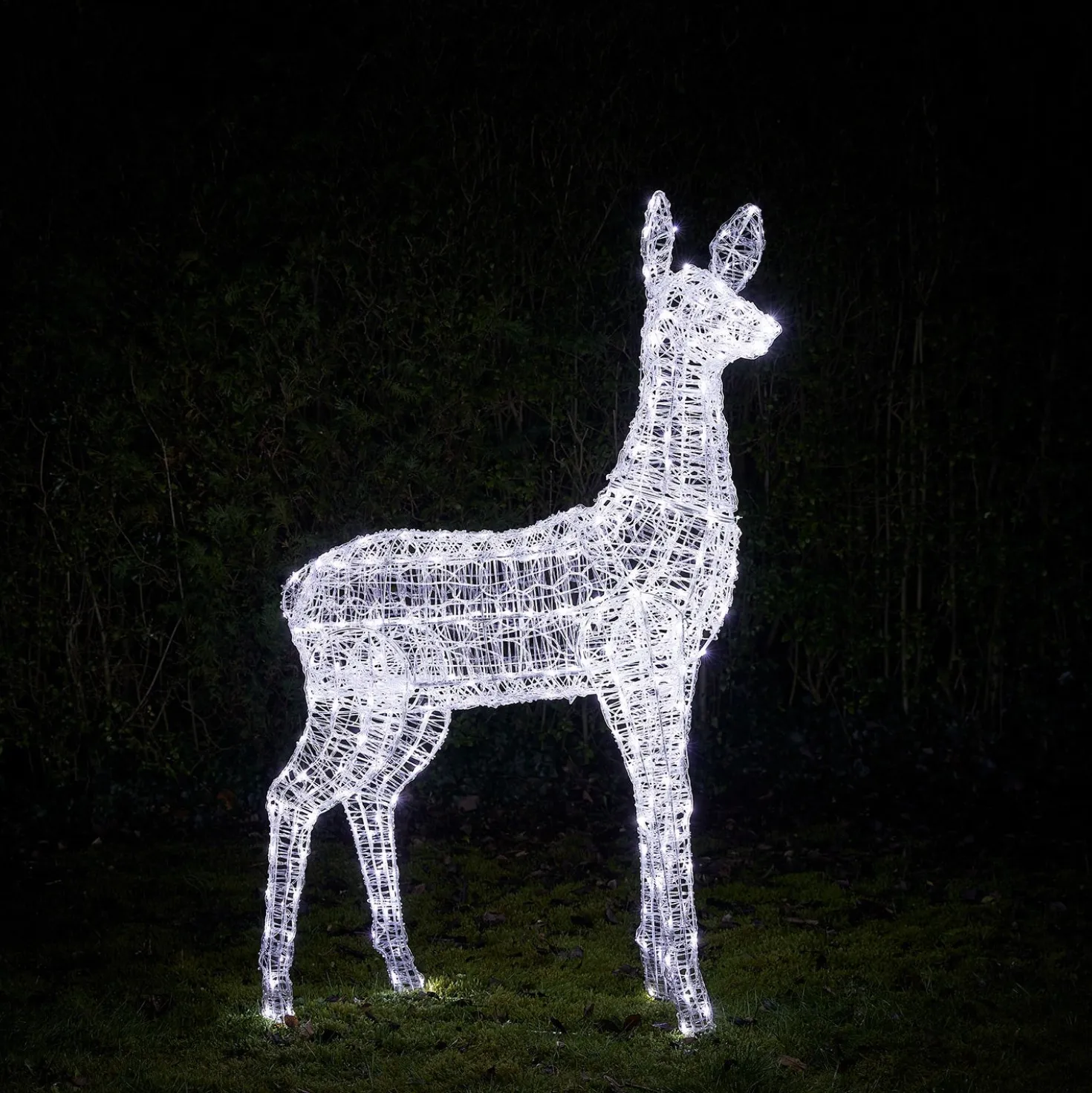 Bicolor LED-Rentier Hirschkuh XL Swinsty