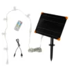 Bicolor Solar-LED-Rentiere mit Schlitten Swinsty