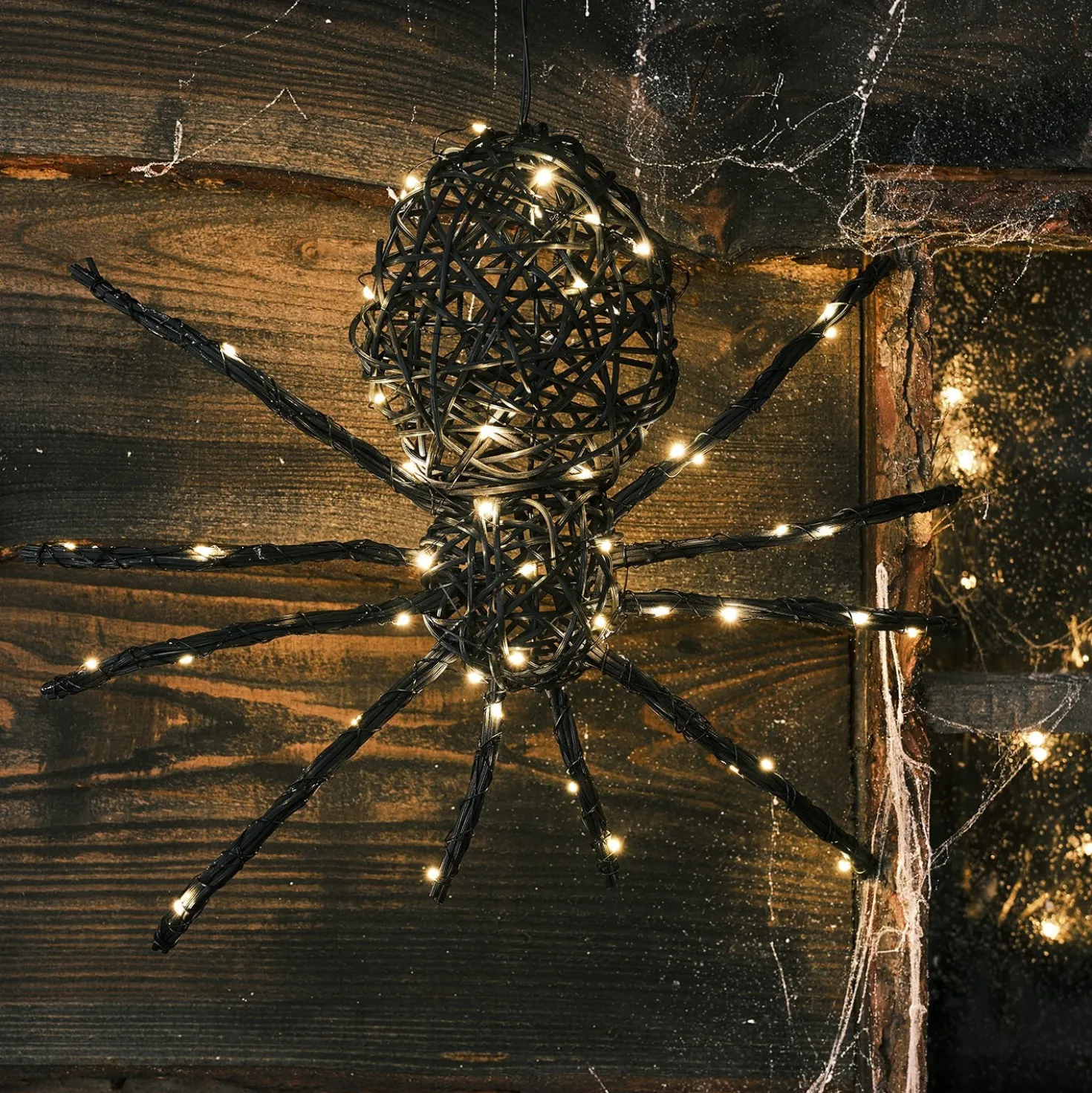 34cm LED Rattan Spinne Ocho