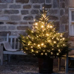 Core Connect 60m 600er LED Lichterkette warmweiß koppelbar grünes Kabel
