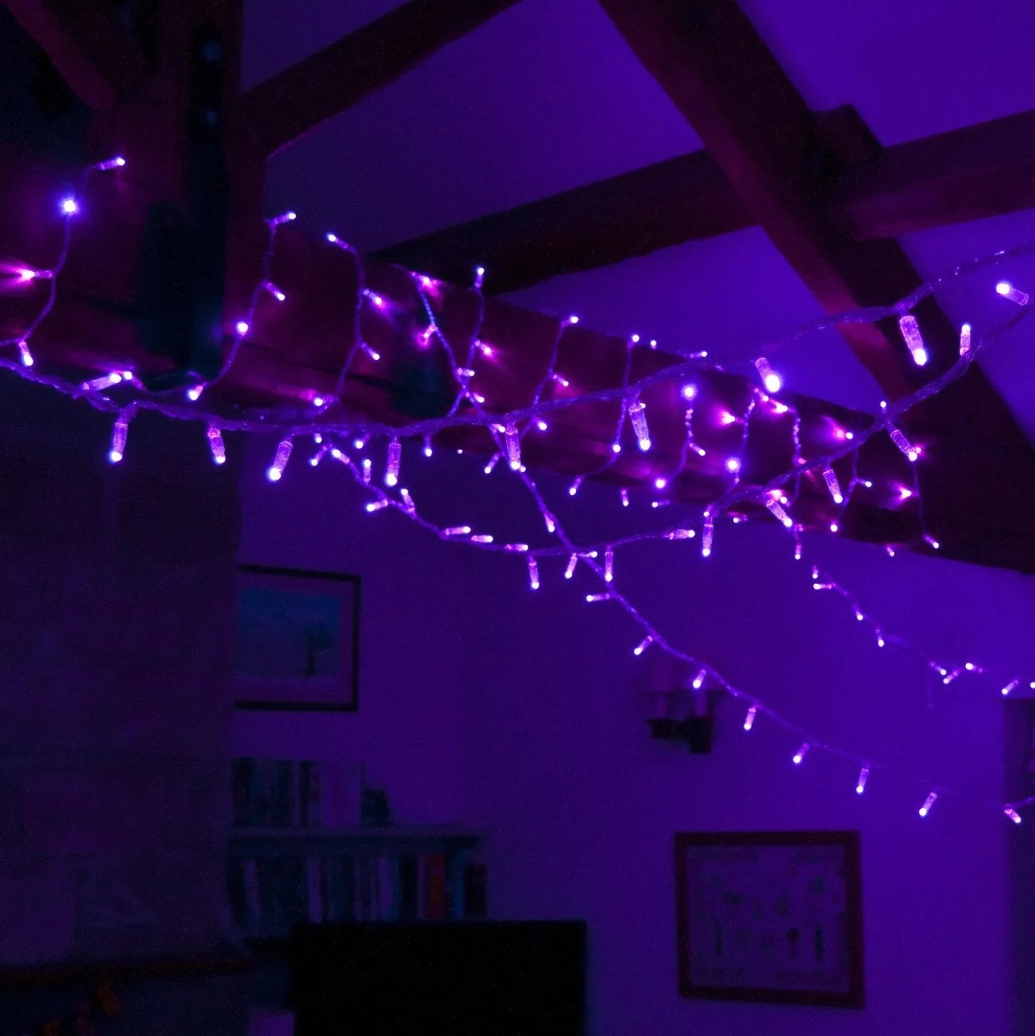 Core Connect 60m 600er LED Lichterkette lila koppelbar transparentes Kabel