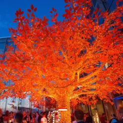 Core Connect 50m 500er LED Lichterkette orange koppelbar transparentes Kabel
