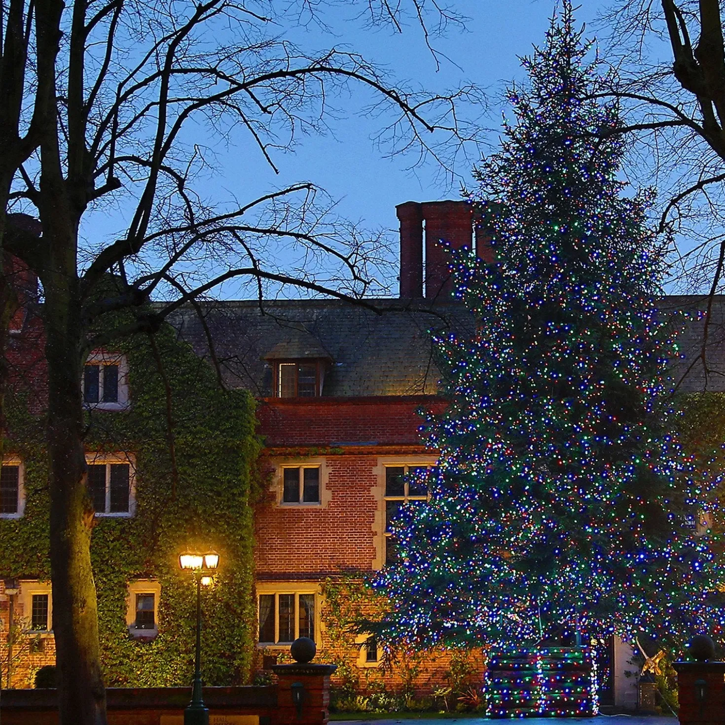 Core Connect 20m 200er LED Lichterkette bunt koppelbar grünes Kabel