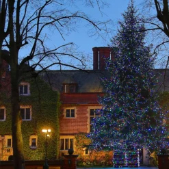 Core Connect 10m 100er LED Lichterkette bunt koppelbar grünes Kabel