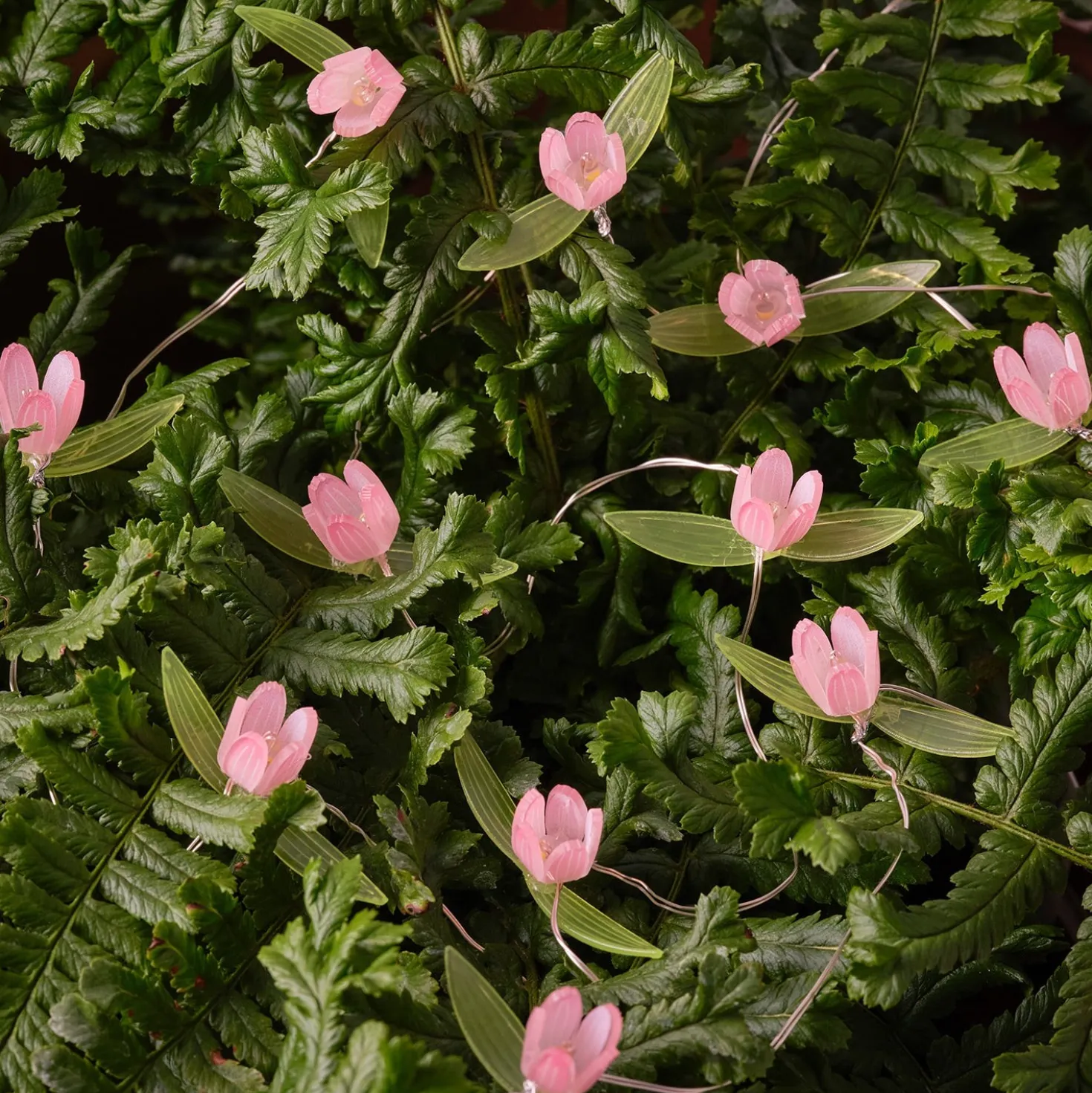 20er LED Micro Lichterkette außen pinke Rosen