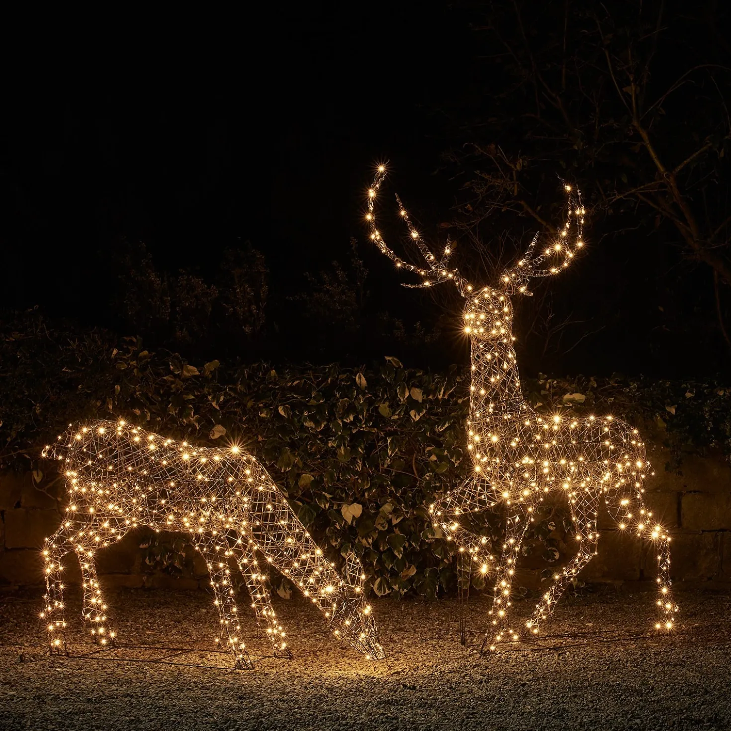 2er Set LED-Rentierfamilie Hirsch & Hirschkuh XL Studley