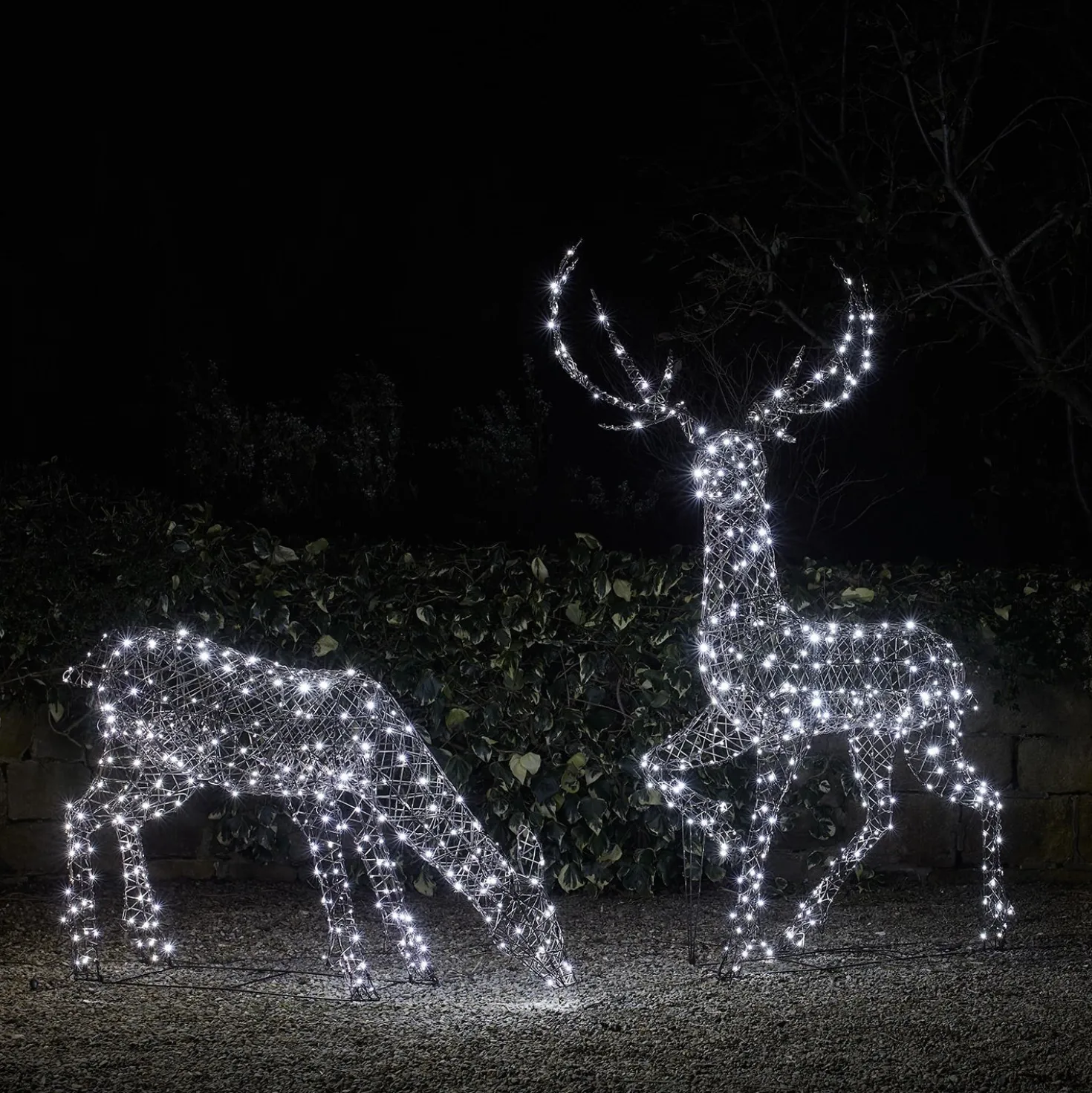 2er Set LED-Rentierfamilie Hirsch & Hirschkuh XL Studley