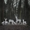5er Set LED-Rentierfamilie XL Studley