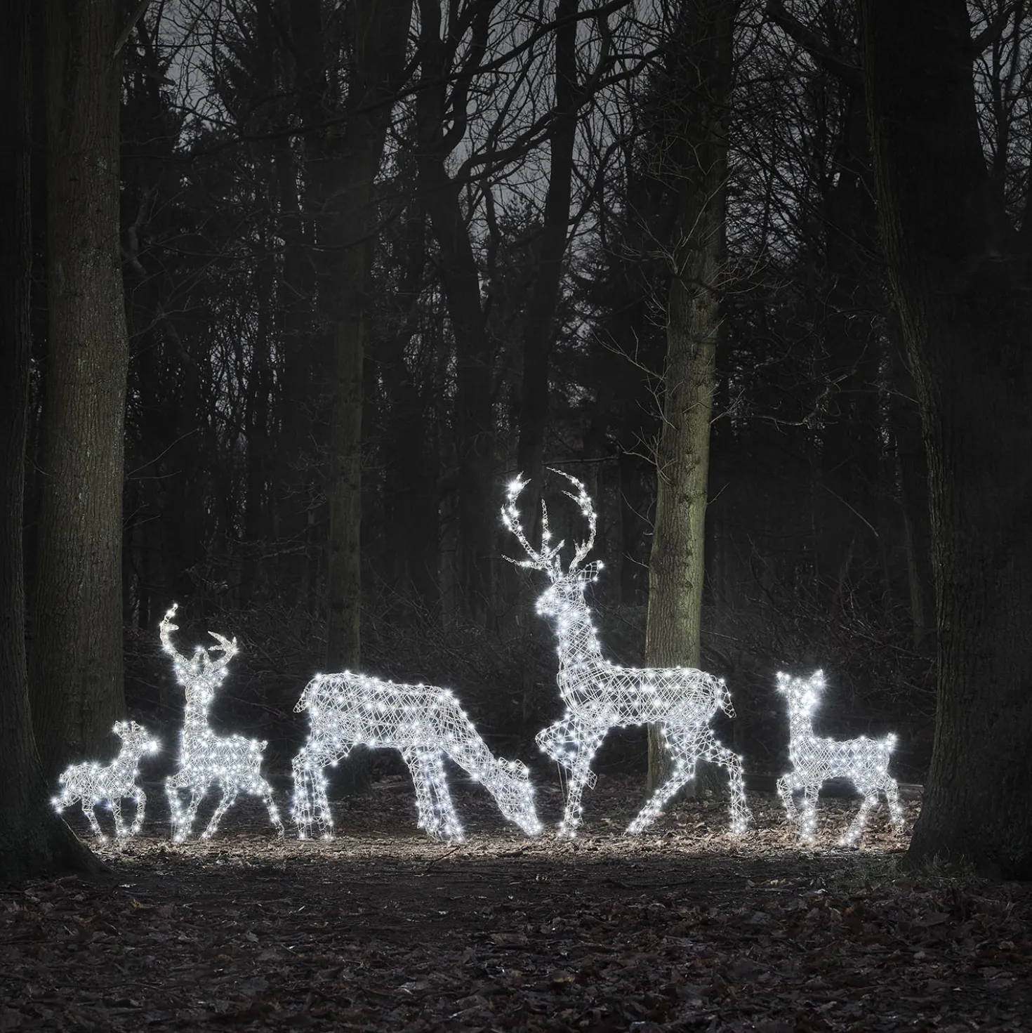 5er Set LED-Rentierfamilie XL Studley