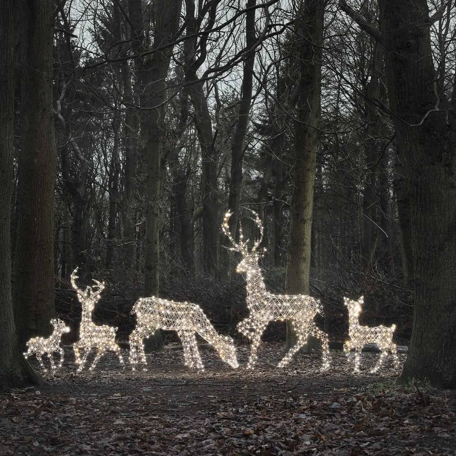 5er Set LED-Rentierfamilie XL Studley