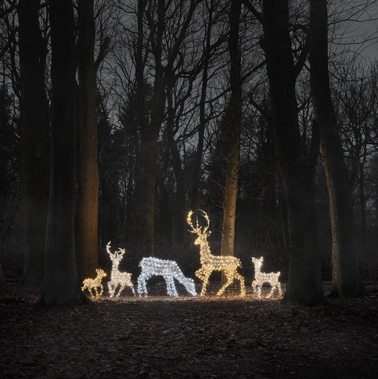 5er Set LED-Rentierfamilie XL Studley