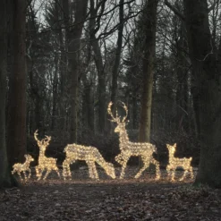 5er Set LED-Rentierfamilie XL Studley
