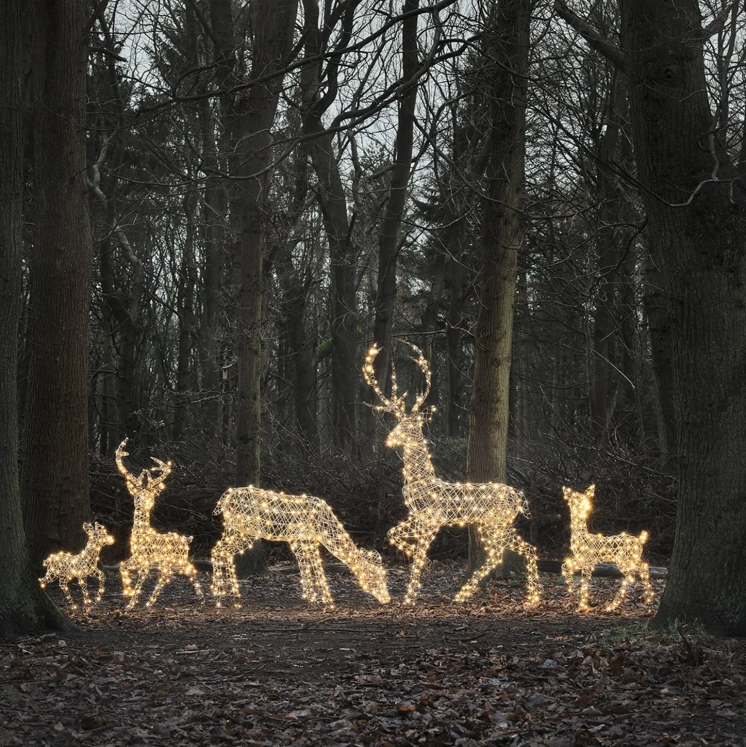 5er Set LED-Rentierfamilie XL Studley