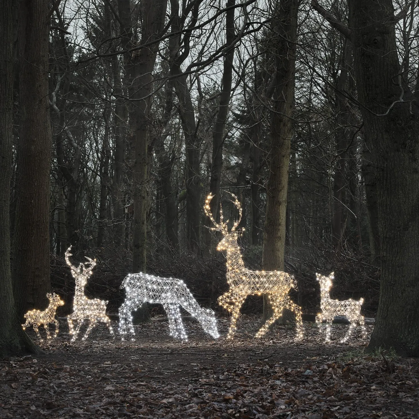 5er Set LED-Rentierfamilie XL Studley