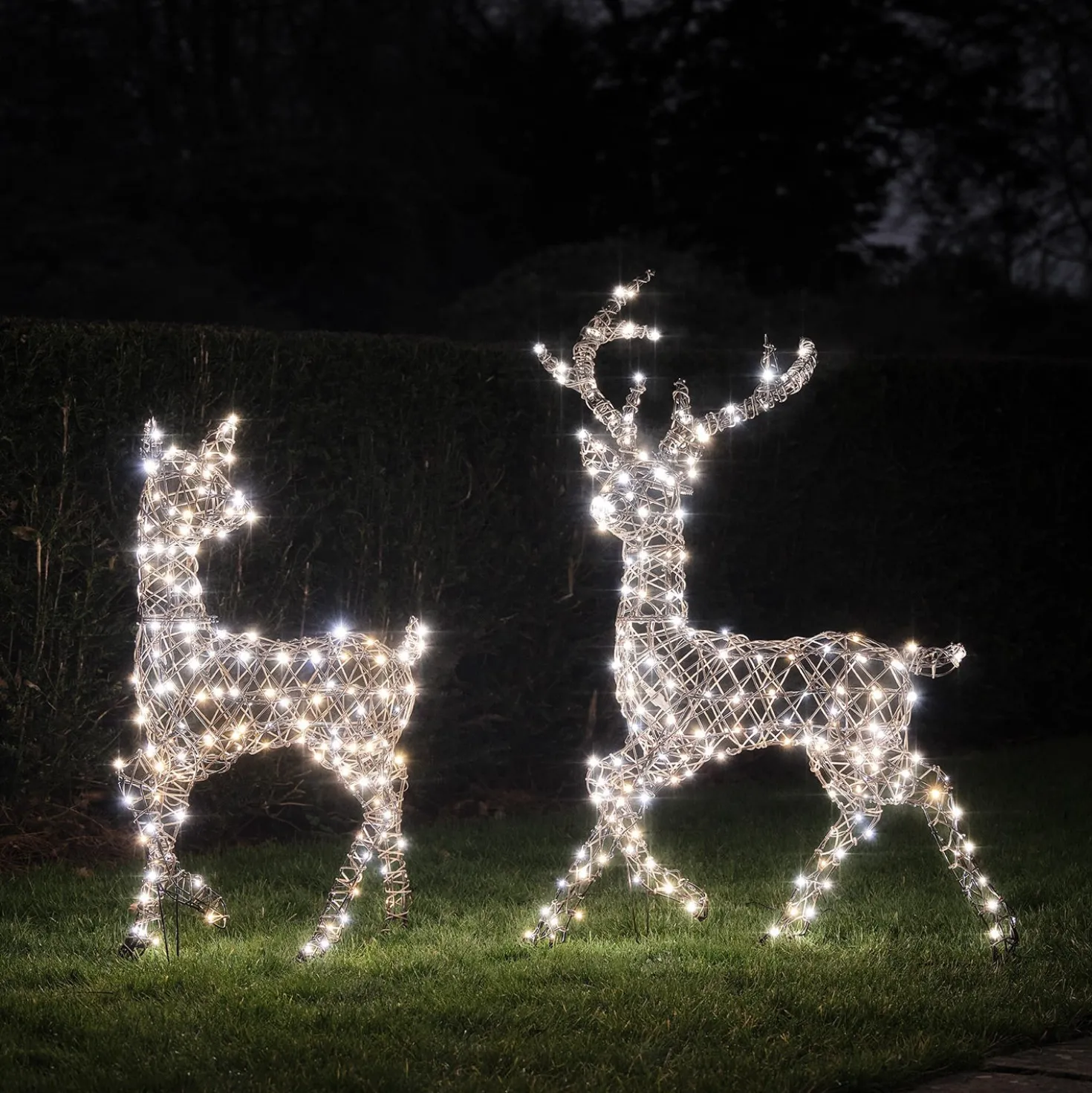 2er Set Solar-LED-Rentier Hirsch & Hirschkuh L Studley