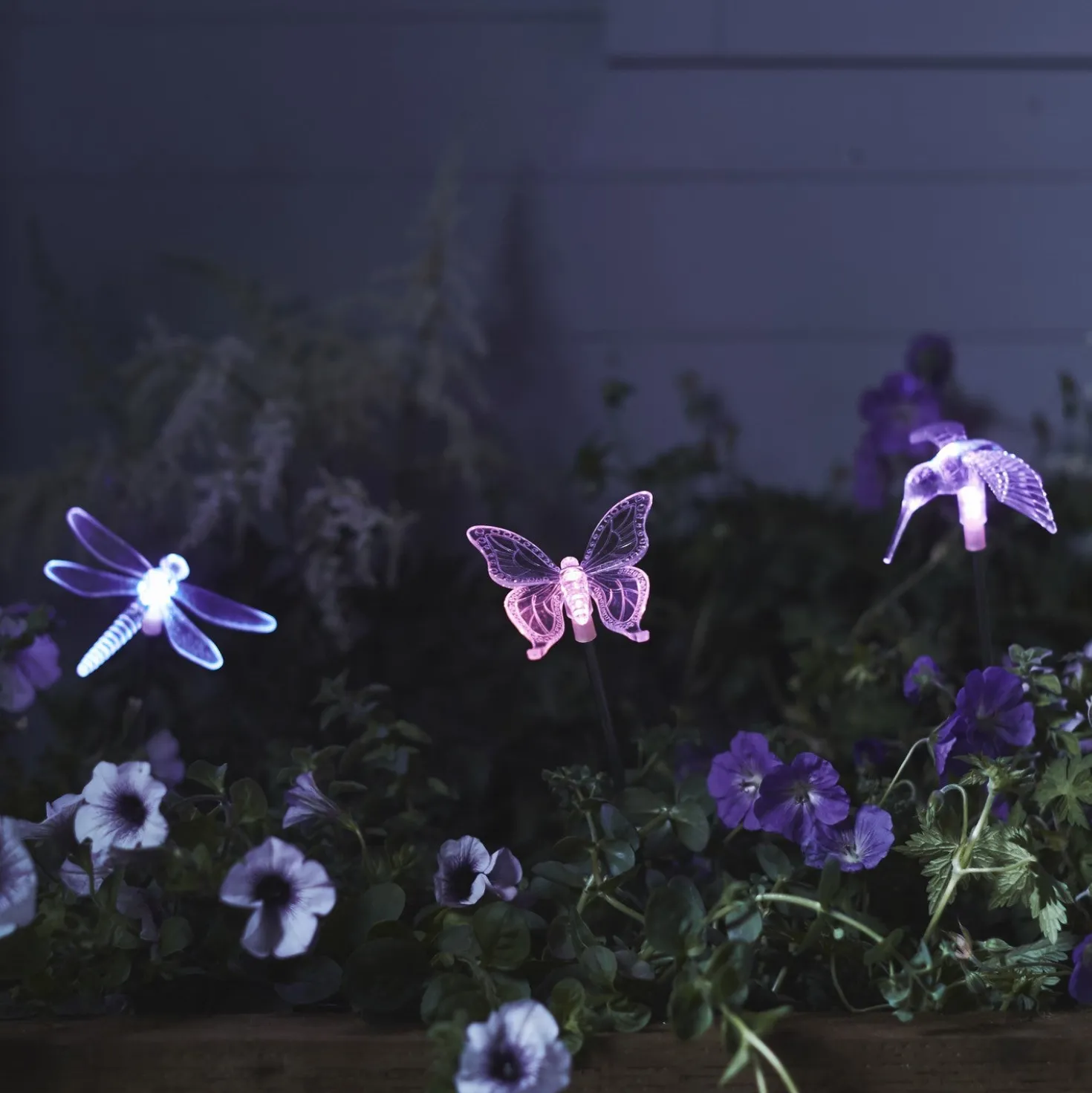 3er Set Solar Stableuchten Libelle, Schmetterling und Kolibri