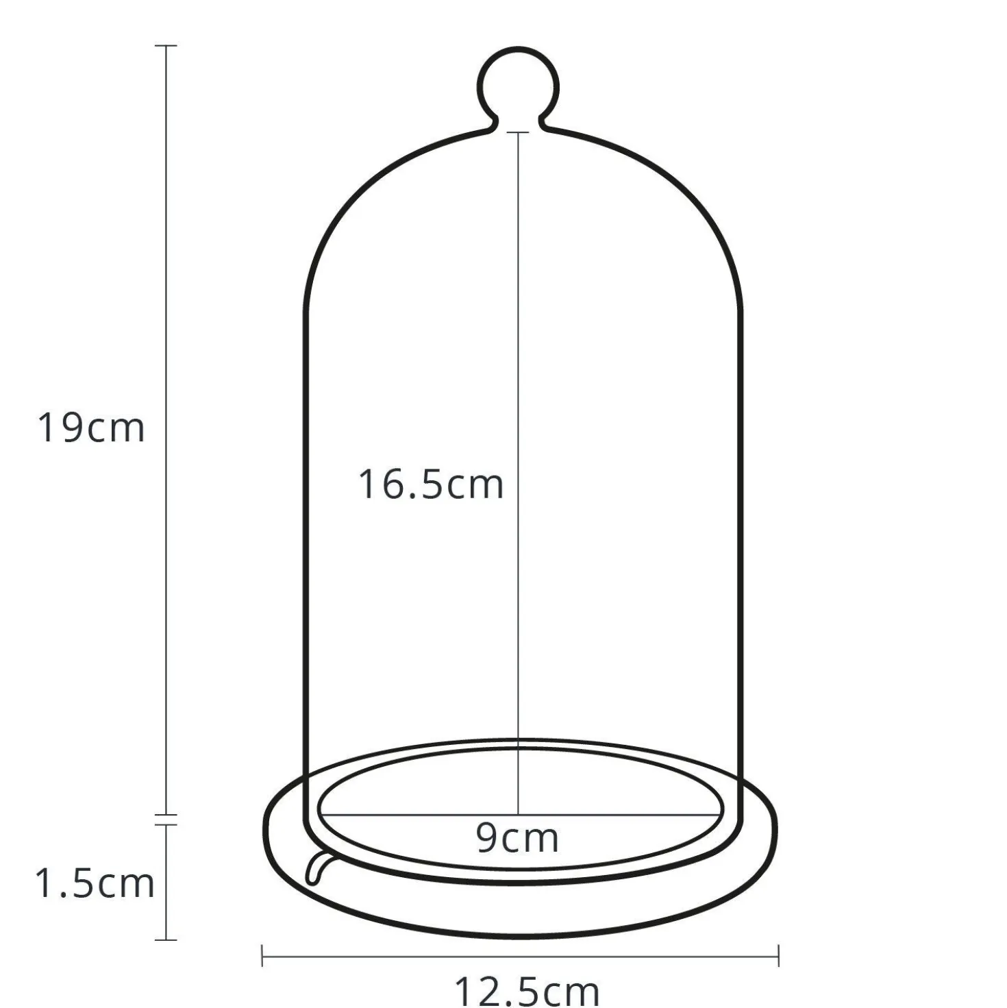 Halloween-Set: Glaskuppel mit LED Fledermaus-Lichterkette