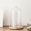 Kleine Glasglocke mit 20er LED Micro Kupfer Lichterkette
