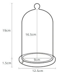 Kleine Glasglocke mit 20er LED Micro Kupfer Lichterkette