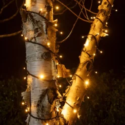 Pro Connect IP67, 10m 100er LED Lichterkette gold warmweiß koppelbar schwarzes Kabel