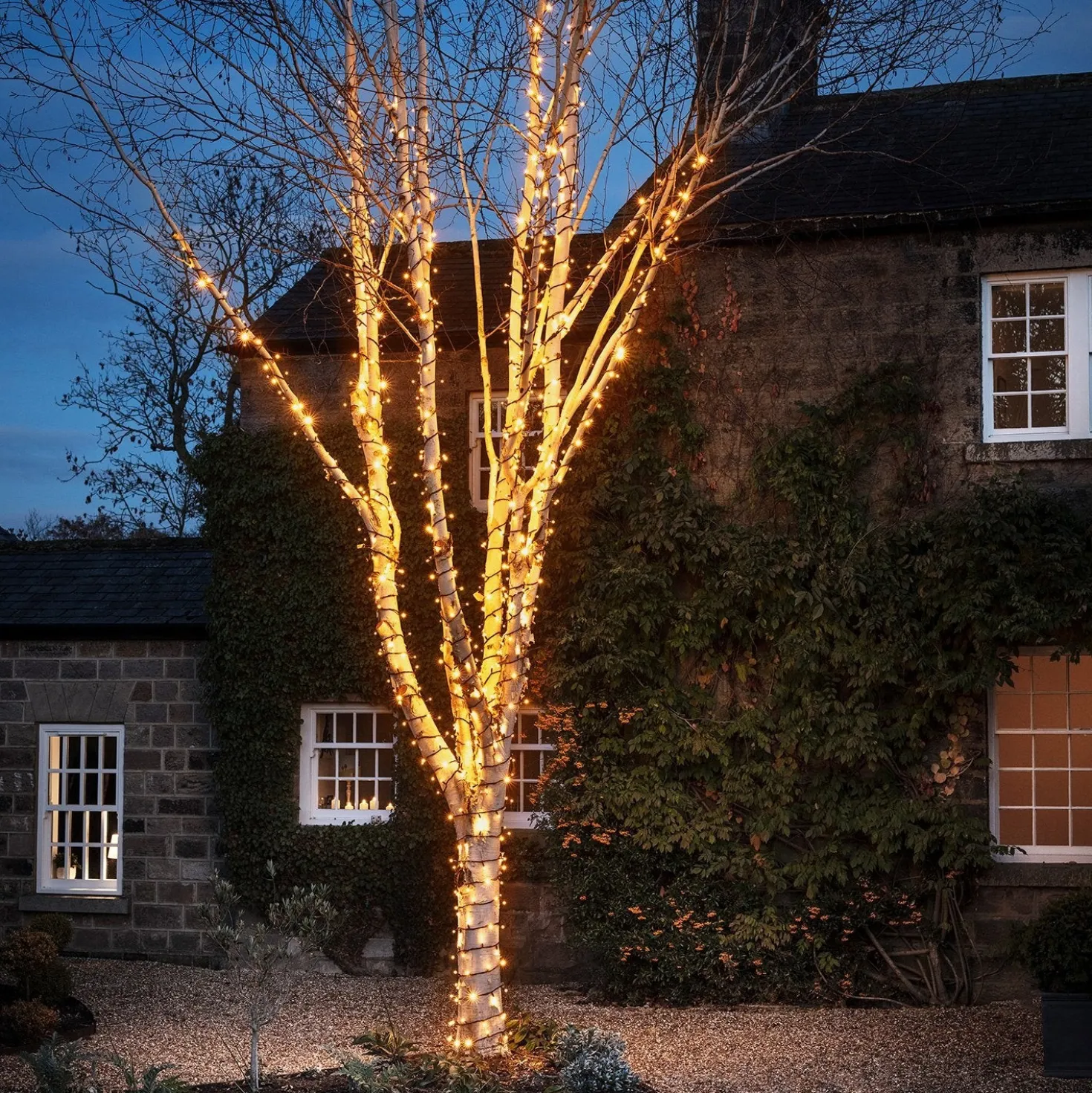 Pro Connect IP67, 10m 100er LED Lichterkette gold warmweiß koppelbar schwarzes Kabel