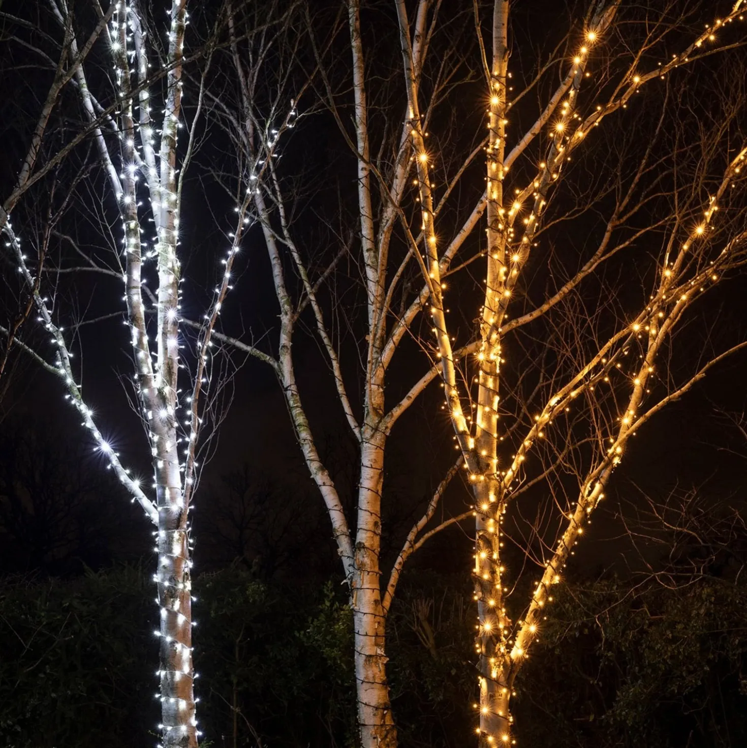 Pro Connect IP67, 10m 100er LED Lichterkette gold warmweiß koppelbar schwarzes Kabel
