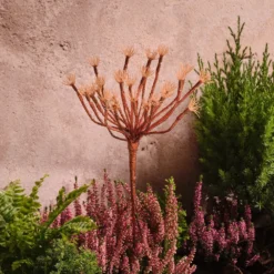 Solar-Gartenstecker Pusteblume mit 25 warmweißen LEDs